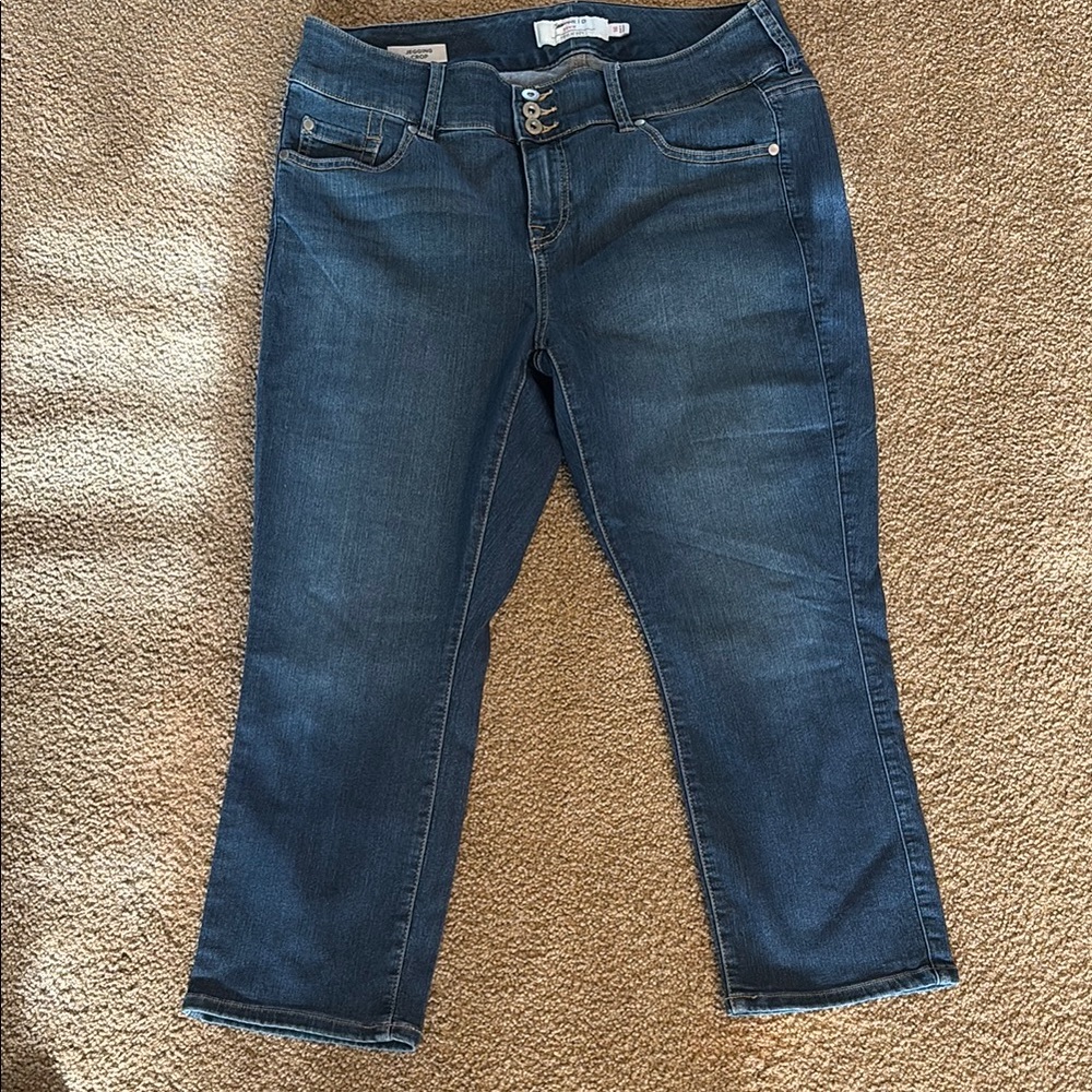 Torrid Blue Straight Leg Jeans Classic Denim